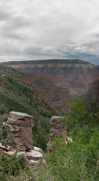 View from the Coconino Sandstone.  Photo by Janel Macy.